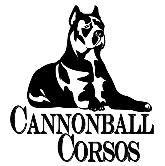 Cannonball Corso logo